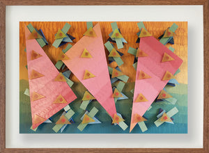 Triângulos rosas // Fernando Correia